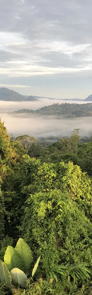 Sabah und Sarawak per Auto, Flugzeug und Bus – Naturparadiese auf Borneo